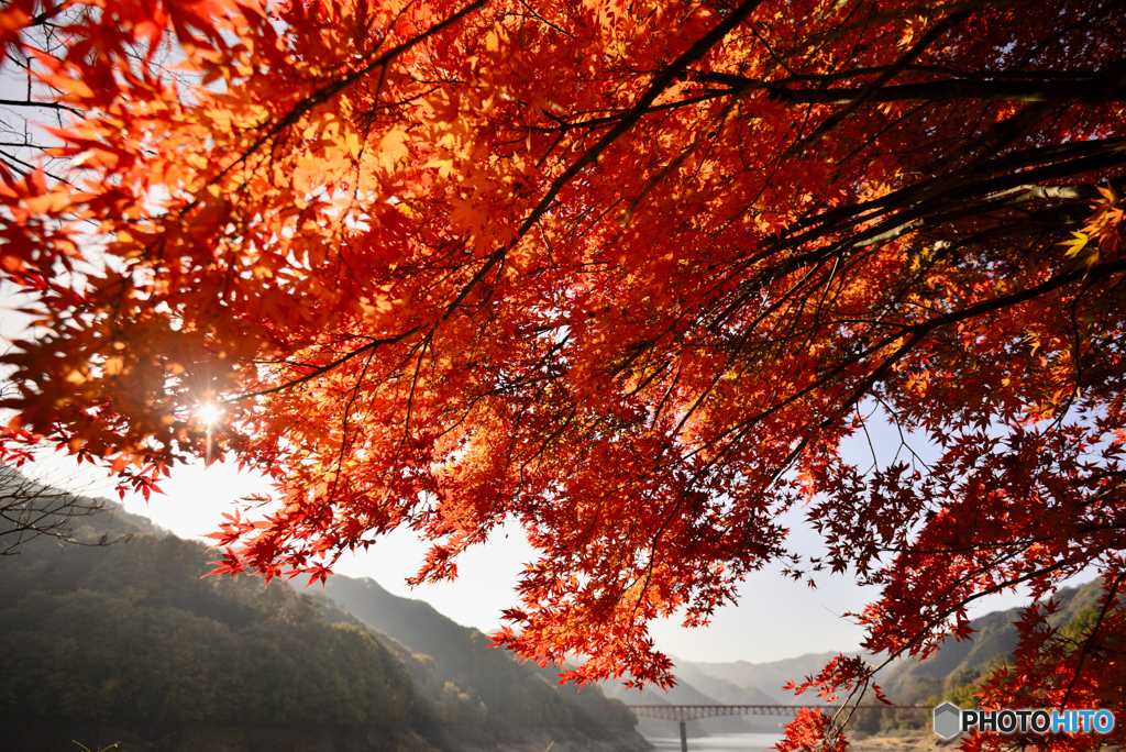 草木湖畔の秋