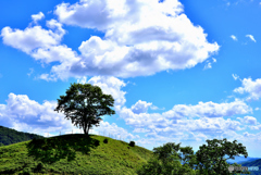 夏の空