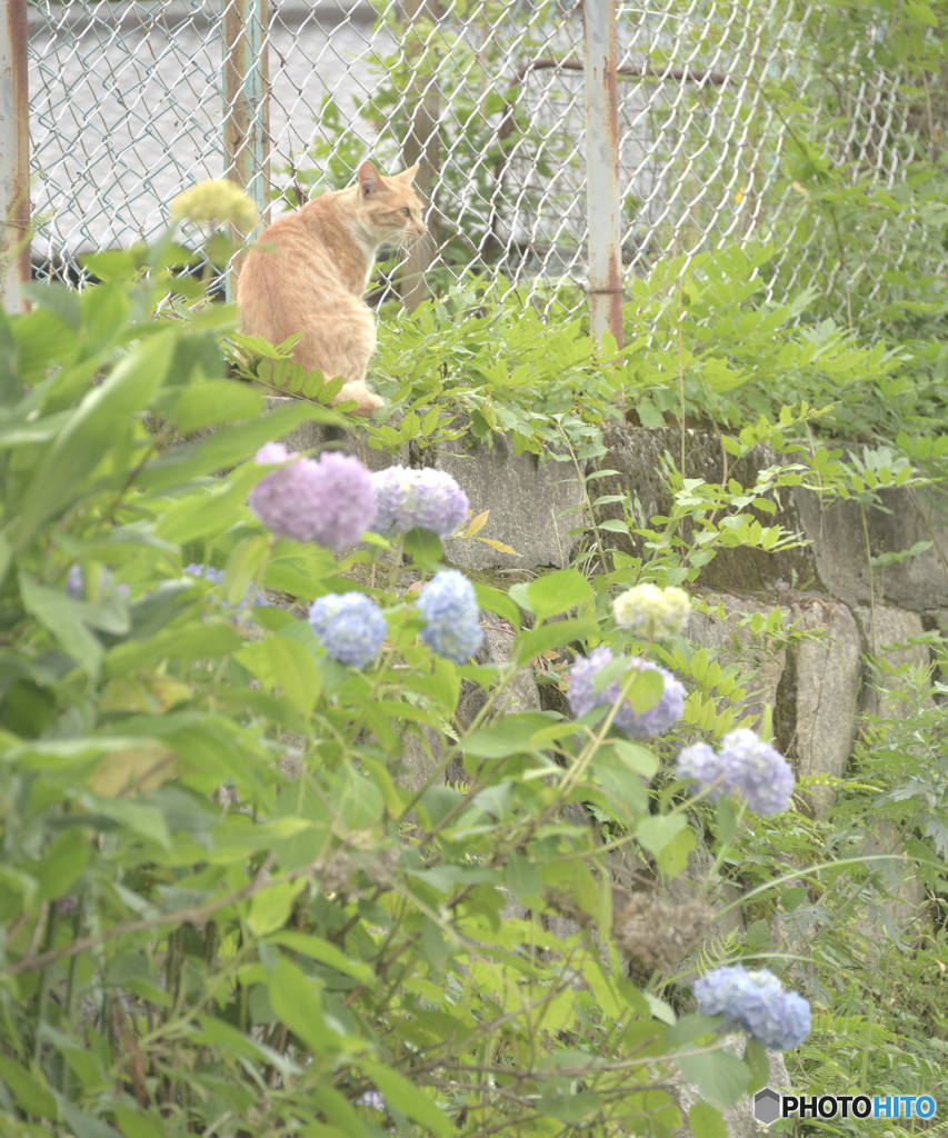 くつろぎのひととき