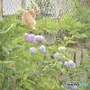 くつろぎのひととき
