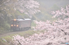 花とわ鐡