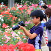 花フェスタ記念公園２