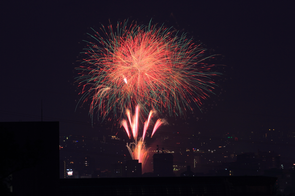 岡崎城下家康公夏まつり３