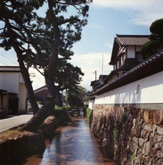 松と漆喰