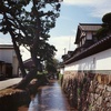 松と漆喰