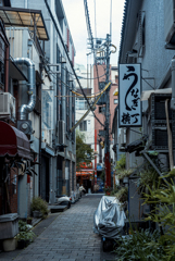 早朝の元町