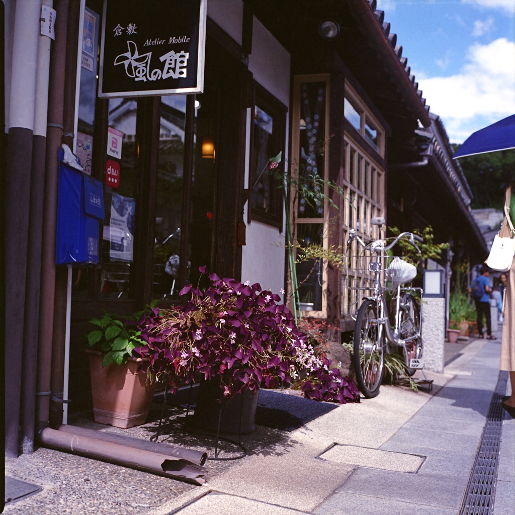 店先の花