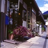 店先の花