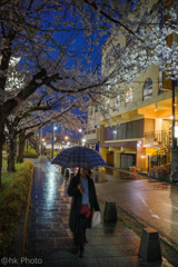 April rain #1