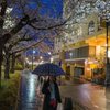 April rain #1