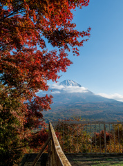 秋色の富士