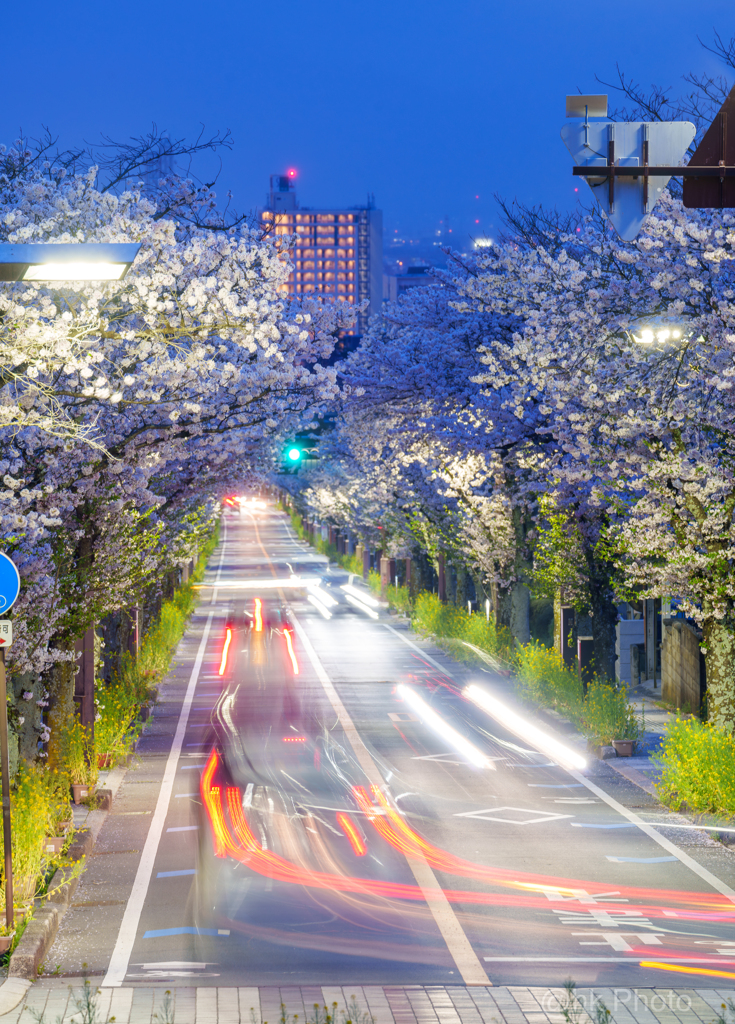 takeda street