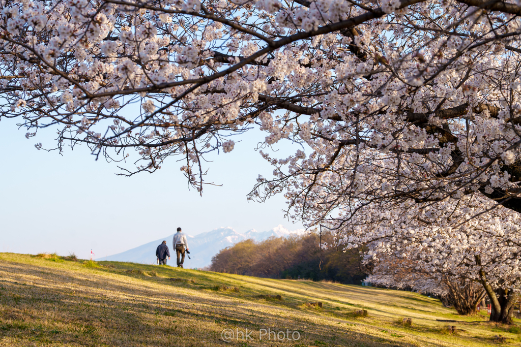 朝日を受けて
