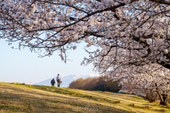 朝日を受けて