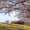 朝日を受けて