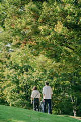 １０月の緑