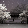 宵の雪