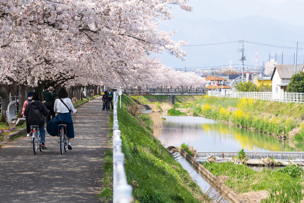 川辺の遊歩道 #2