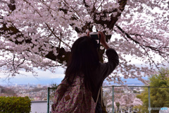 花撮り