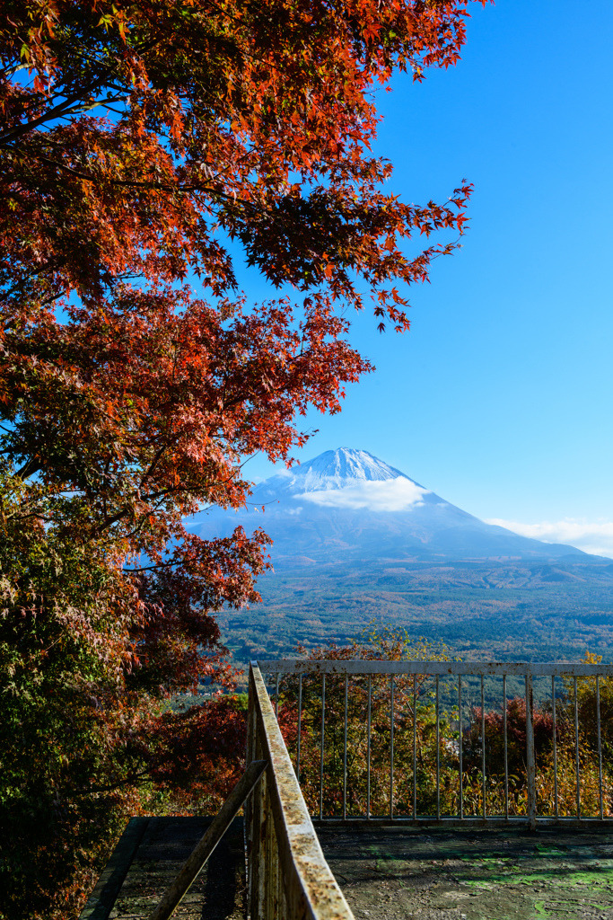 秋色の裾野 #2