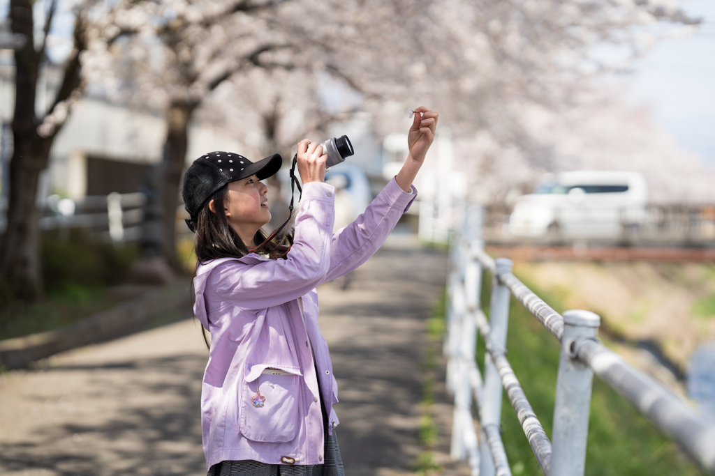桜を撮る娘を撮る