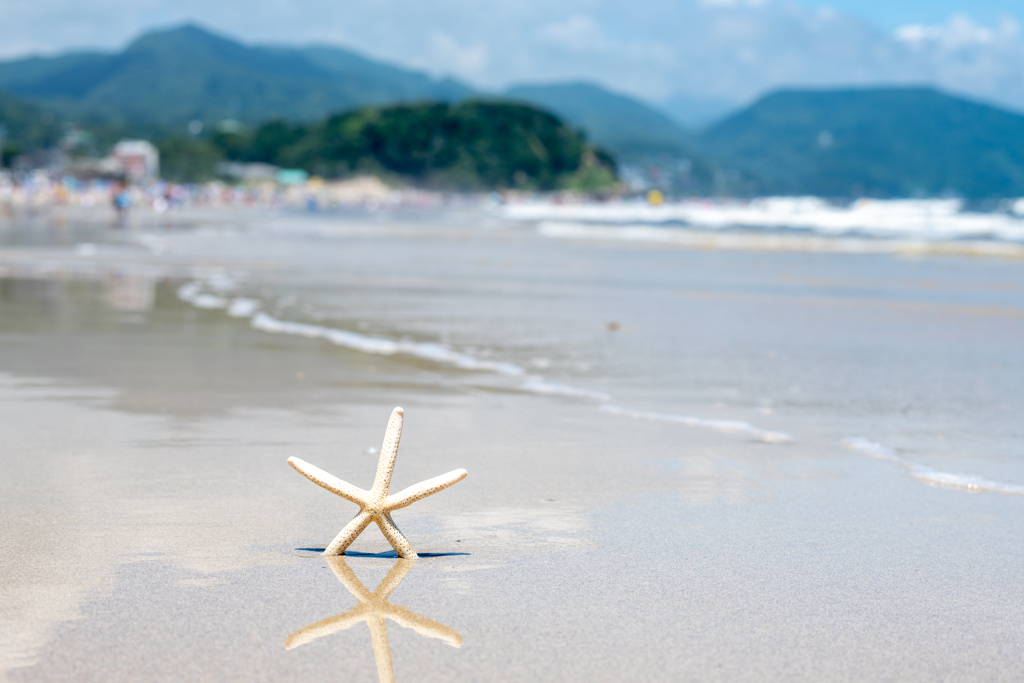 on the beach 〜 渚にて #2