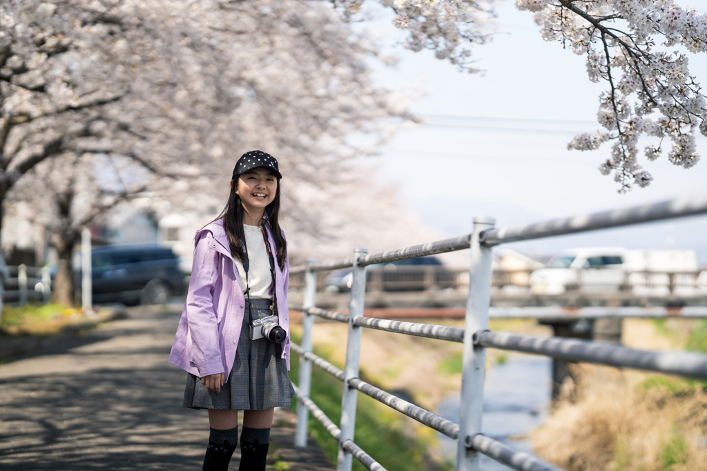 桜の遊歩道 #3