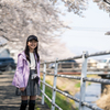 桜の遊歩道 #3