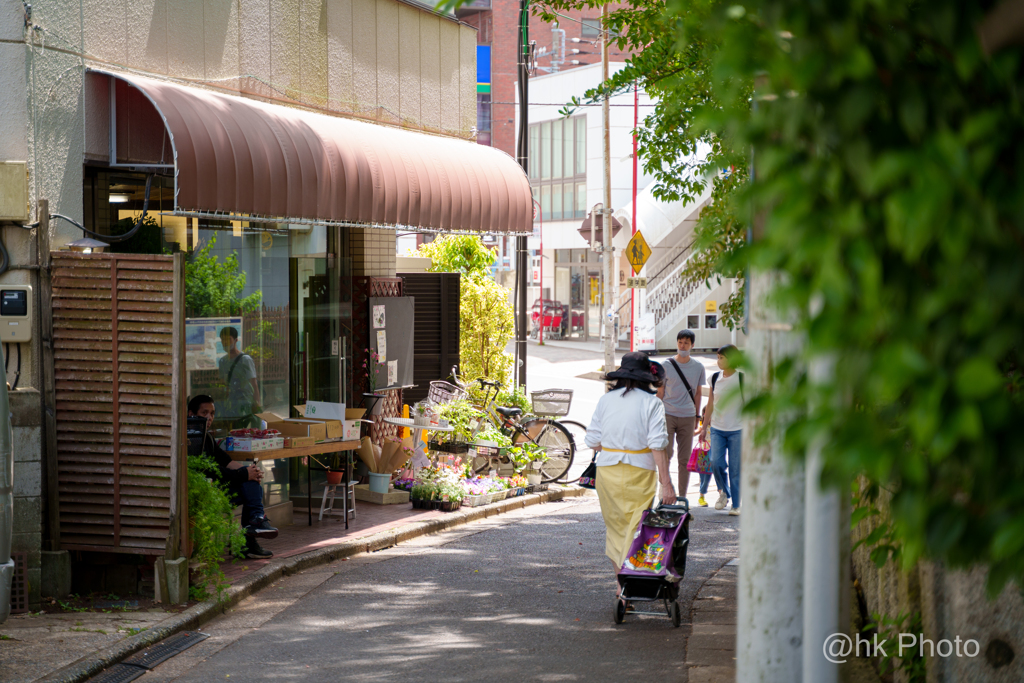 木漏れ日