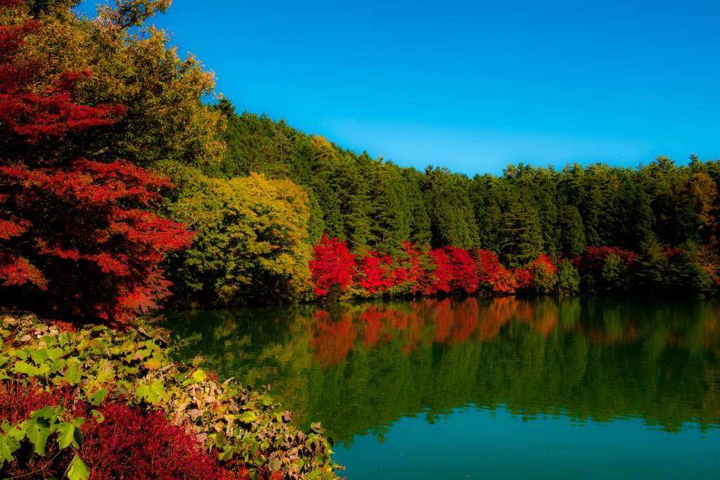 秋色の伊奈ヶ湖