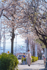 春分の桜