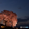 わに塚の桜と八ヶ岳