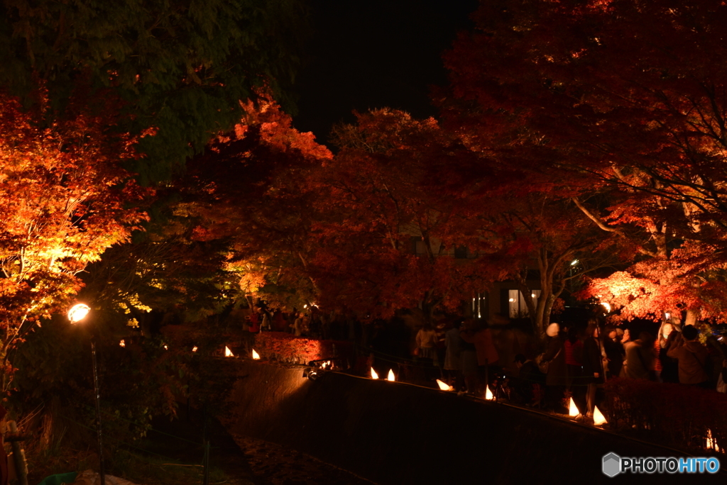 紅葉祭り