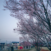 夕暮れの公園