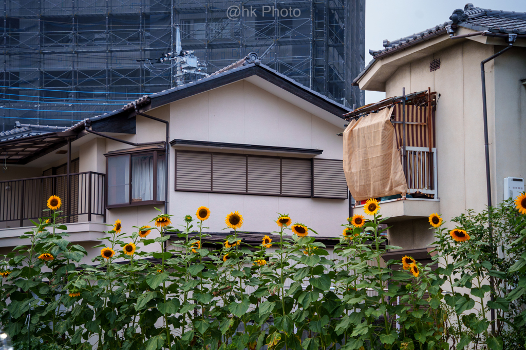 街は夏色