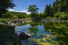 清流のほとりから