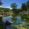 清流のほとりから