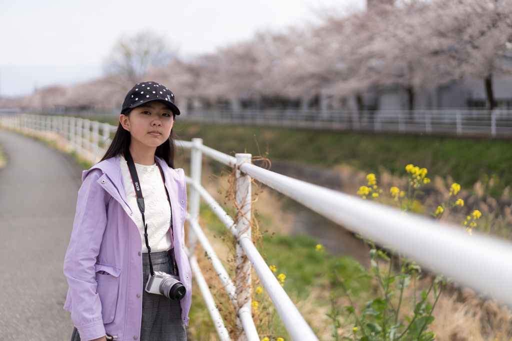桜の遊歩道 #2