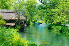 水車小屋のある風景