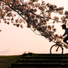 夕焼けと自転車