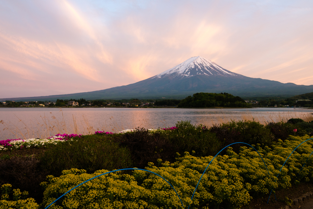 夕暮れの大石公園