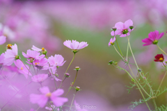 雨空の週末 #1 雨空の週末 #1