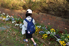 みち草