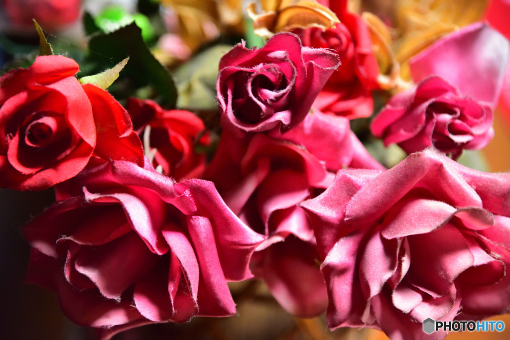 薔薇