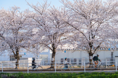 夕日に向かって走れ！