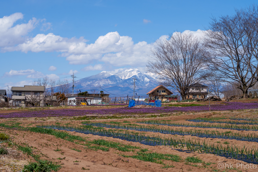 春の八ヶ岳