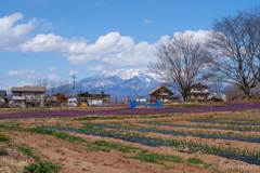 春の八ヶ岳