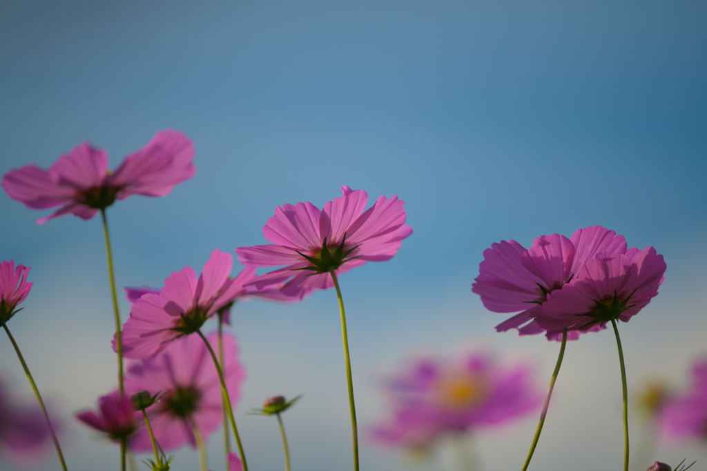 みんなあっち向いてる