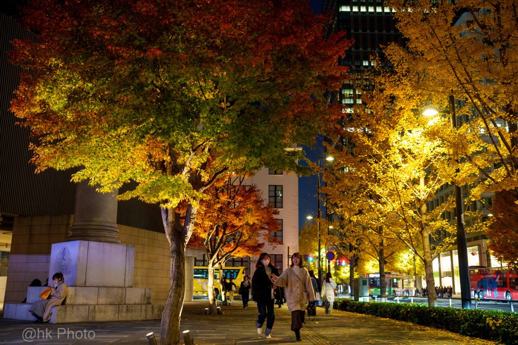 都会の紅葉