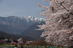 眞原地区から南アルプスを望む